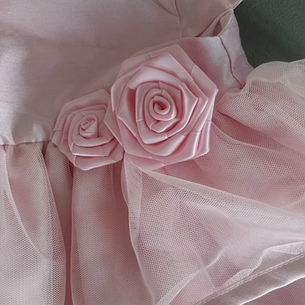 Carter's Baby Girl Special Occasion Dress / Flower Girl Dress 9 Months